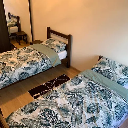 Chaleureux Logement Familial Jusqu'A 6 Personnes Annemasse Esterno foto